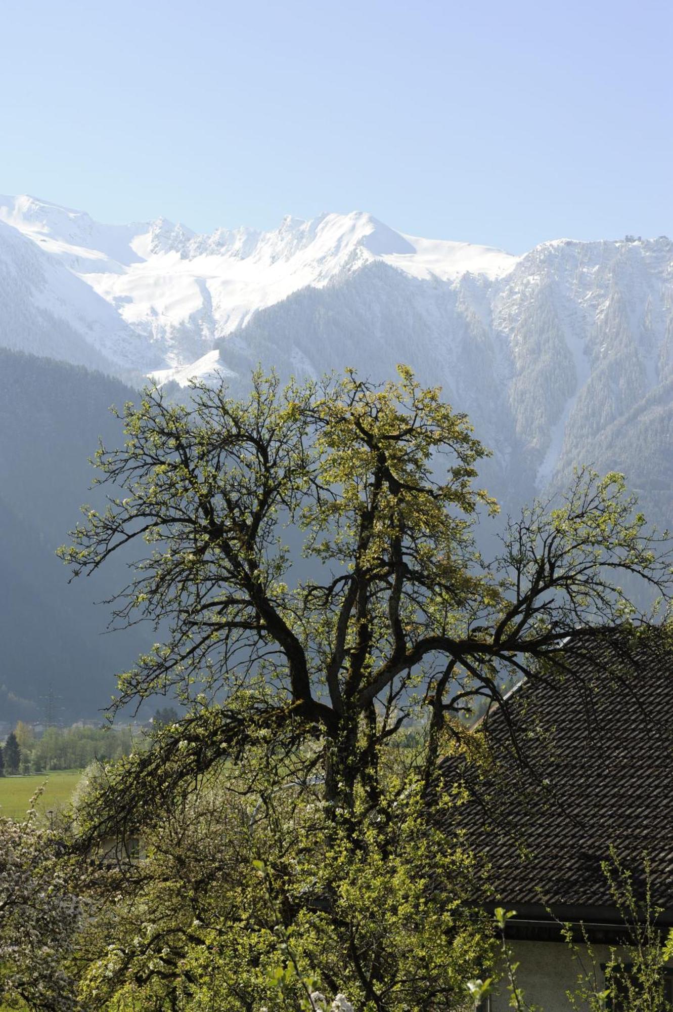 Apartamento Oberstockachhof Schwendau Exterior foto